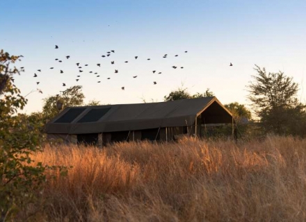 Hwange Bushcamp – Hwange National Park