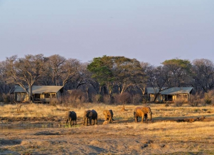 Verney’s Camp – Hwange National Park