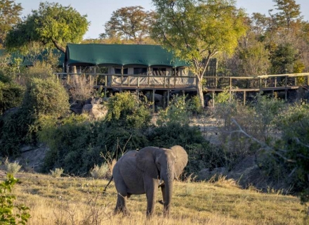 Deteema Springs – Hwange National Park