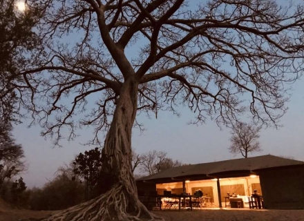 Ingwe Pan – Mana Pools National Park