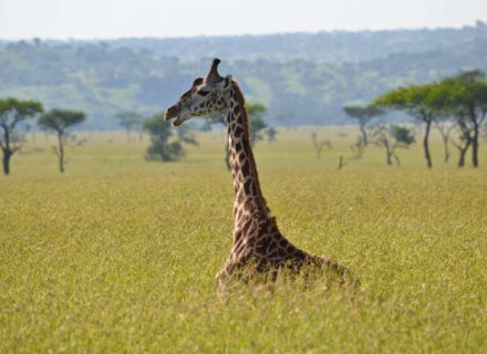 13 Night Northern Tanzania With Boutique Zanzibar