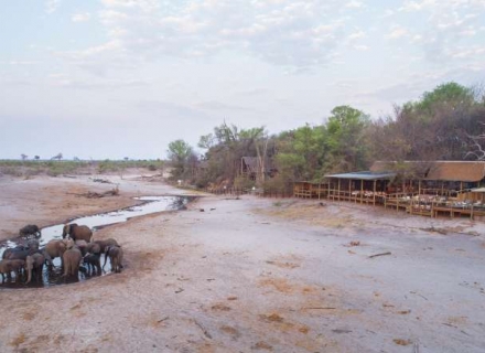 Savute Safari Lodge – Chobe National Park