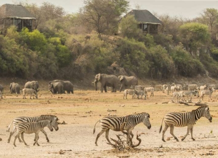 Leroo La Tau – Makgadikgadi Pans National Park