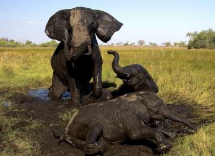 12 Night Tanzania Family Safari