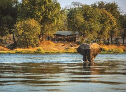 Great Plains Sapi Explorers Camp – Mana Pools National Park