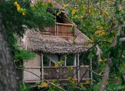 SWAHILI COAST TREEHOUSES