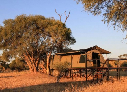 Jozibanini Camp – Hwange National Park
