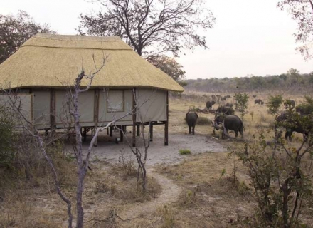 Khulu Bush Camp and Khulu’s Retreat – Hwange National Park