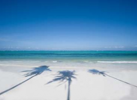 14 Night Short Safari Plus Zanzibar