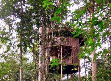 UGANDA TREEHOUSES