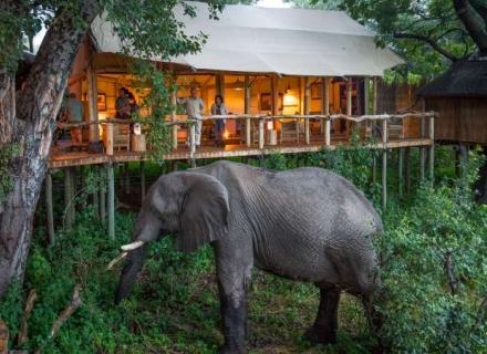 BOTSWANA TREEHOUSES