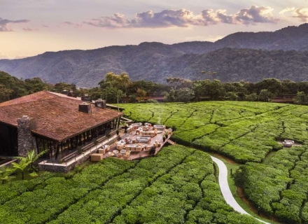 One & Only Nyungwe House – Nyungwe