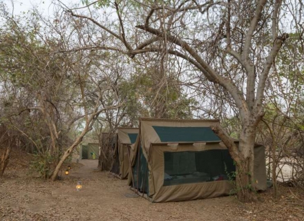 Camp Chitake – Mana Pools National Park