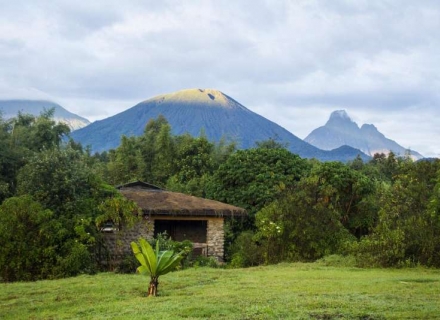 Mountain Gorilla View – Volcanoes National Park