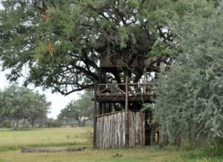 ZIMBABWE TREEHOUSES