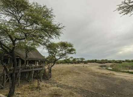 Onguma Tree Top Camp – Onguma Nature Reserve – Etosha