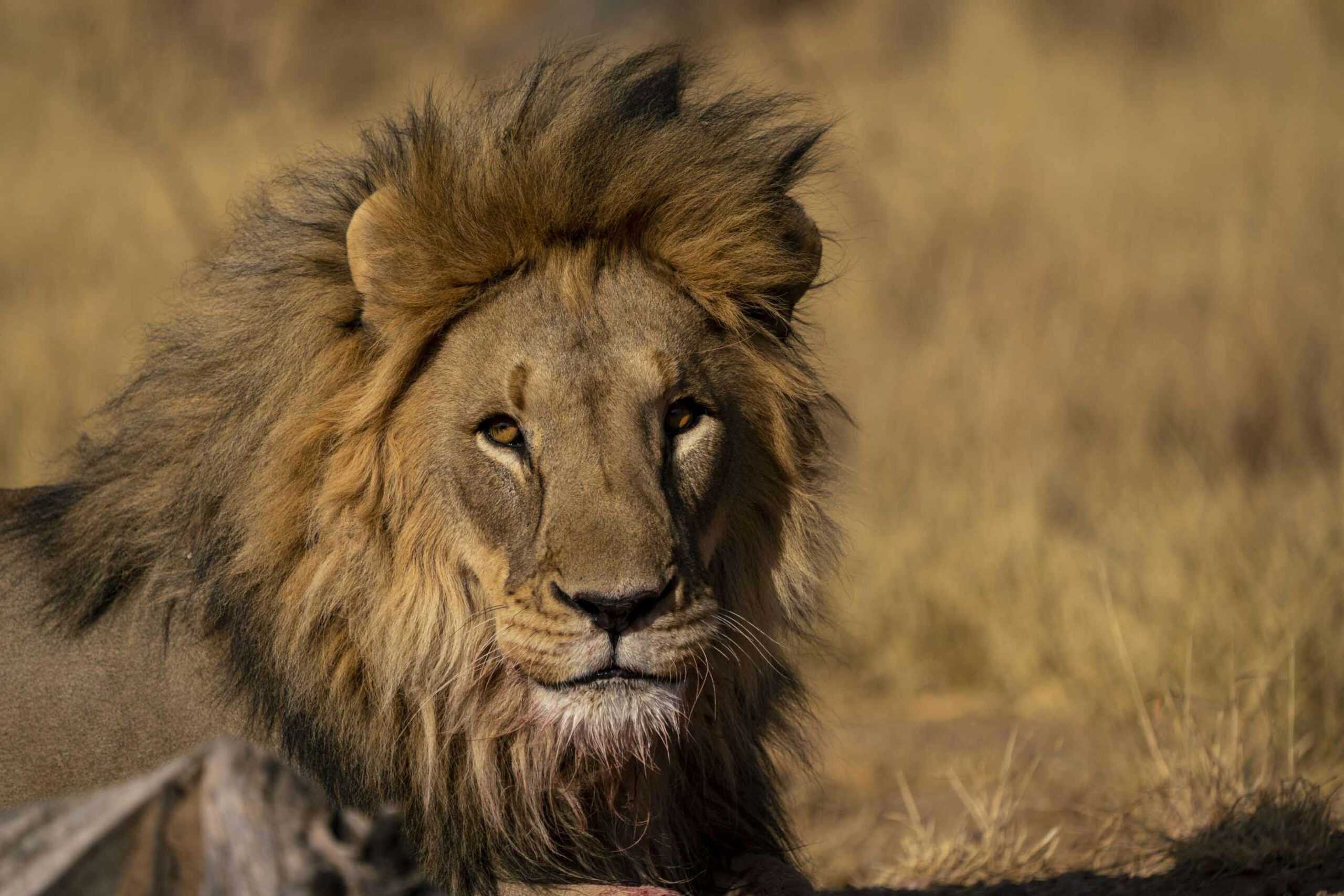 namibia_3-scaled