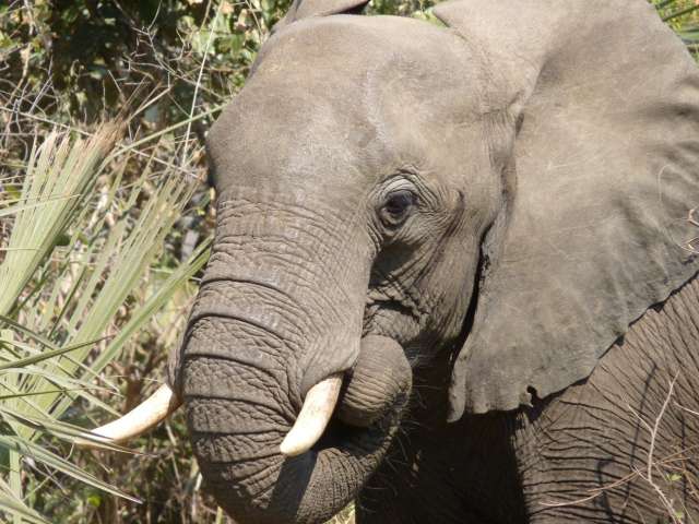 /wp-content/uploads/2022/07/nile-safari-lodge-murchison-falls-np-5.jpg