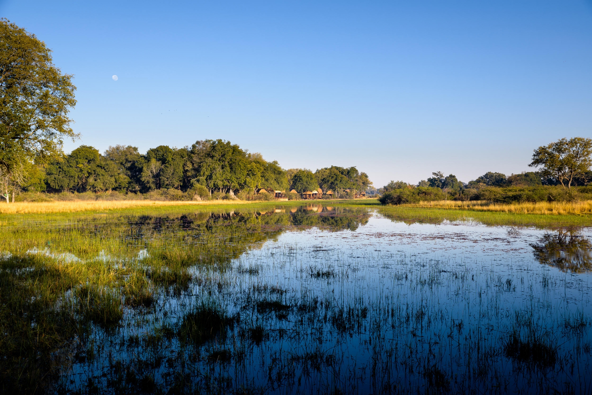 Sanctuary Chief’s Camp – Moremi Game Reserve – Okavango Delta