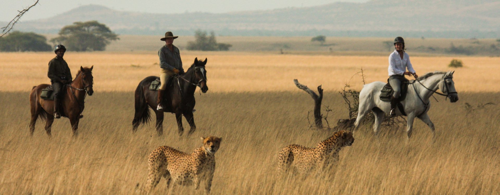/wp-content/uploads/2022/07/olDonyoLodge-Horse-Safari-Experience-GreatPlainsConservation-43.jpg