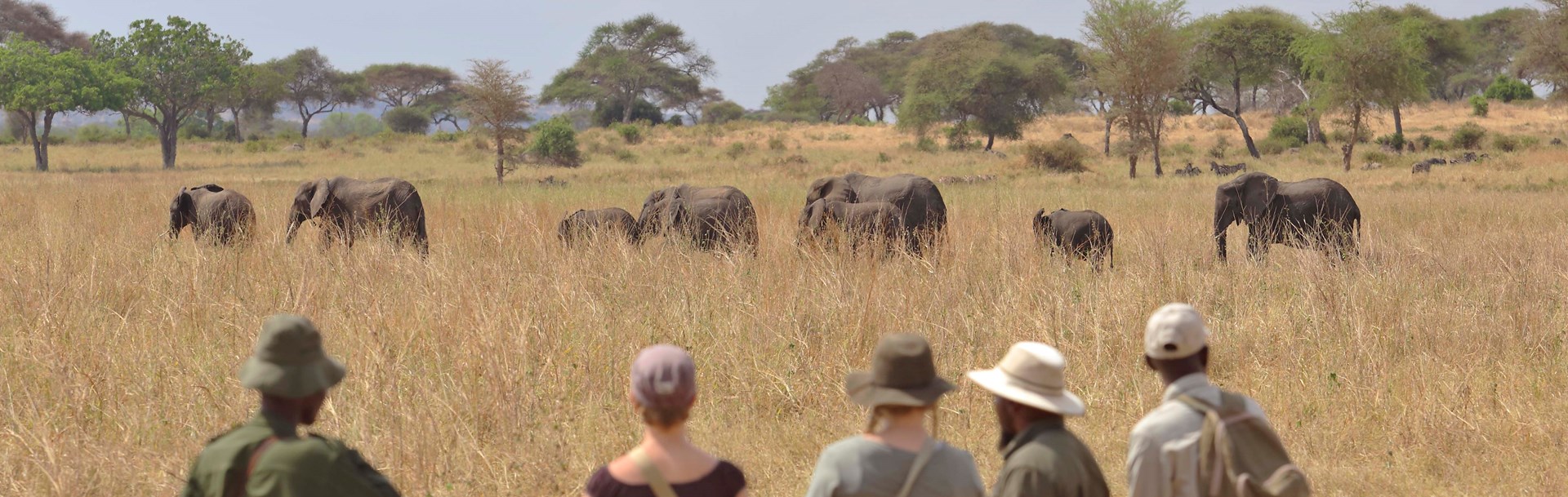 /wp-content/uploads/2022/07/olivers-walking-safari.jpg