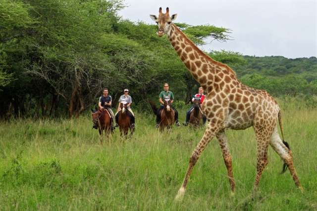 /wp-content/uploads/2022/07/pakamisa-kwazulu-natal-10.jpg