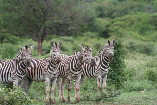/wp-content/uploads/2022/07/pakamisa-kwazulu-natal-13.jpg