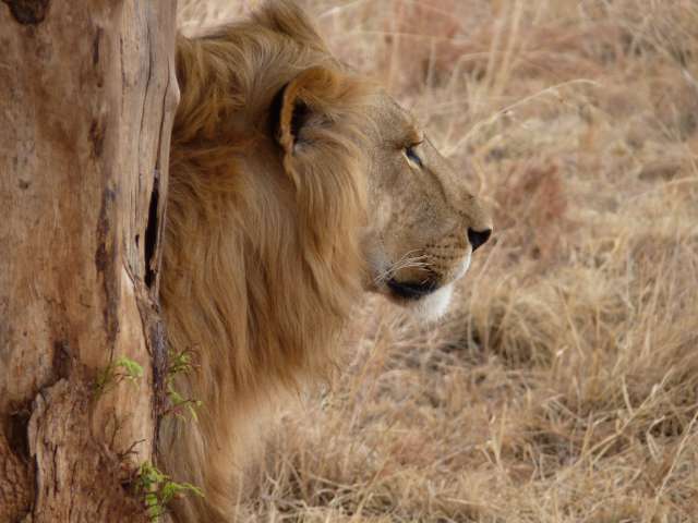/wp-content/uploads/2022/07/pakamisa-kwazulu-natal-4.jpg