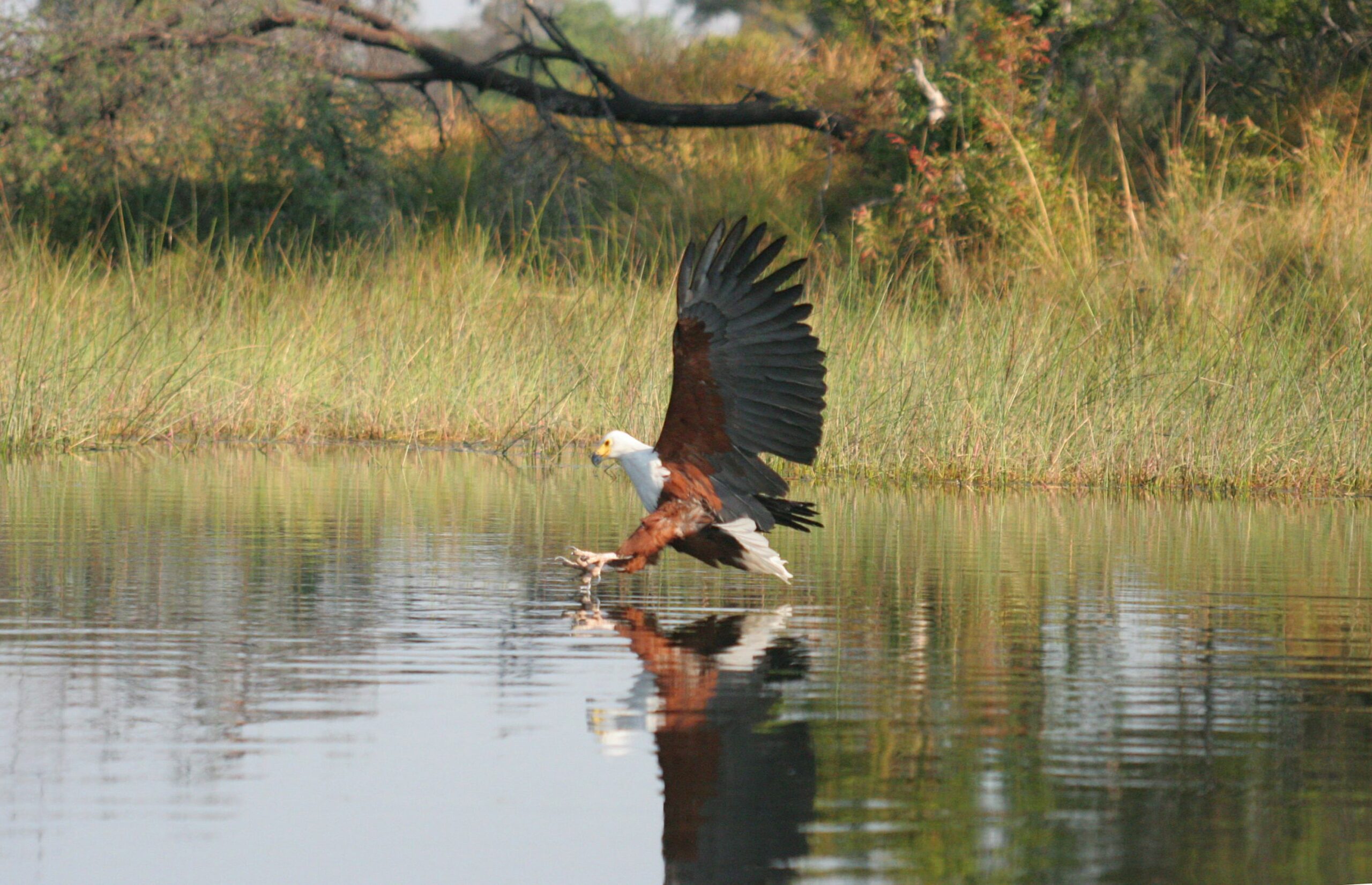 https://www.trackssafaris.co.uk/wp-content/uploads/2022/07/photo_141-scaled.jpg