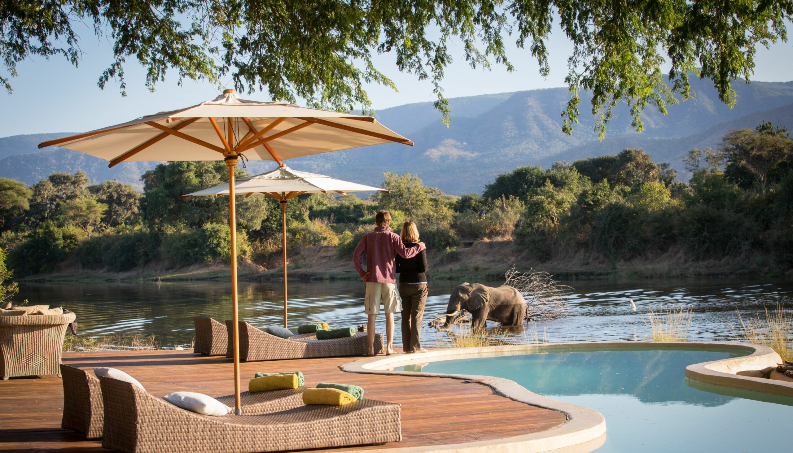 https://www.trackssafaris.co.uk/wp-content/uploads/2022/07/pool-with-view-and-elephants1-scaled.jpg
