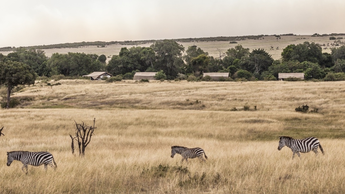 /wp-content/uploads/2022/07/porini-lion-camp-gallery-image-82-1445009553.jpg