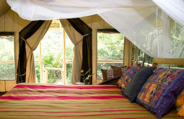/wp-content/uploads/2022/07/primate-lodge-kibale-forest-np-2.jpg