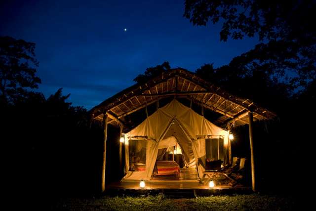 /wp-content/uploads/2022/07/primate-lodge-kibale-forest-np-3.jpg