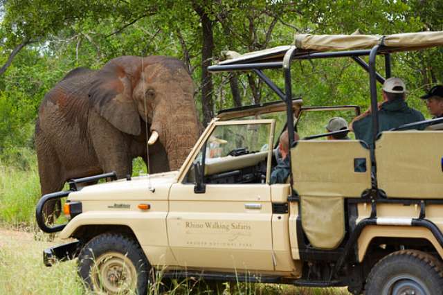 /wp-content/uploads/2022/07/rhino-post-safari-lodge-kruger-private-3.jpg