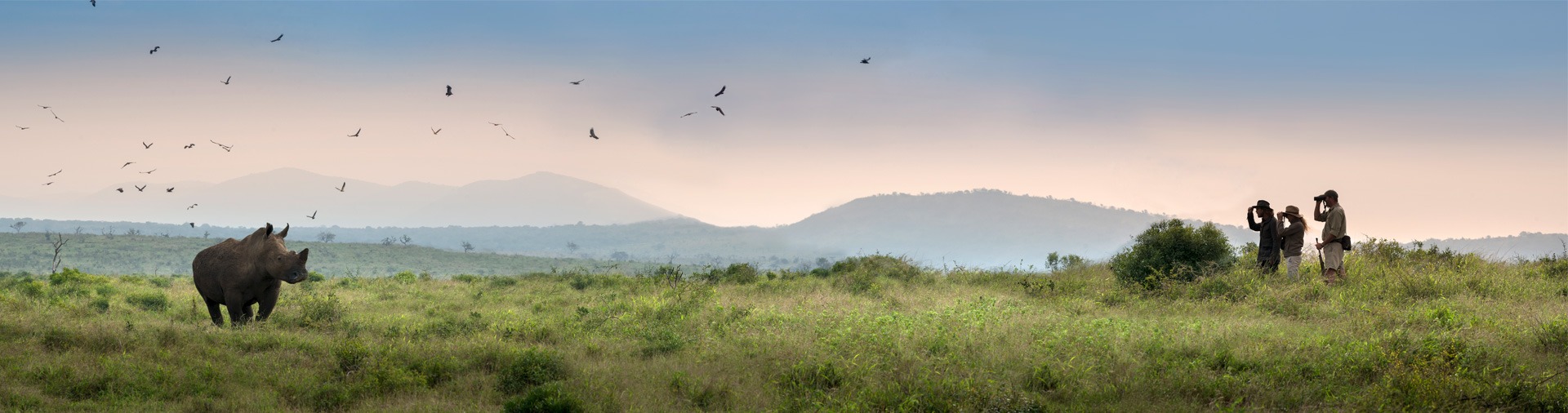 https://www.trackssafaris.co.uk/wp-content/uploads/2022/07/rhino-walking-safari-pano.jpeg
