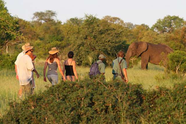 /wp-content/uploads/2022/07/rhino-walking-safaris-kruger-private-c-4.jpg