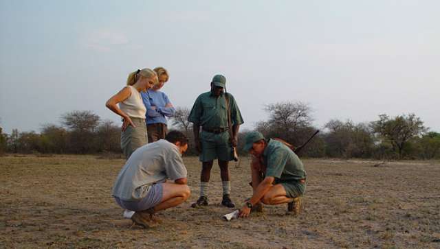 /wp-content/uploads/2022/07/rhino-walking-safaris-kruger-private-c-8.jpg