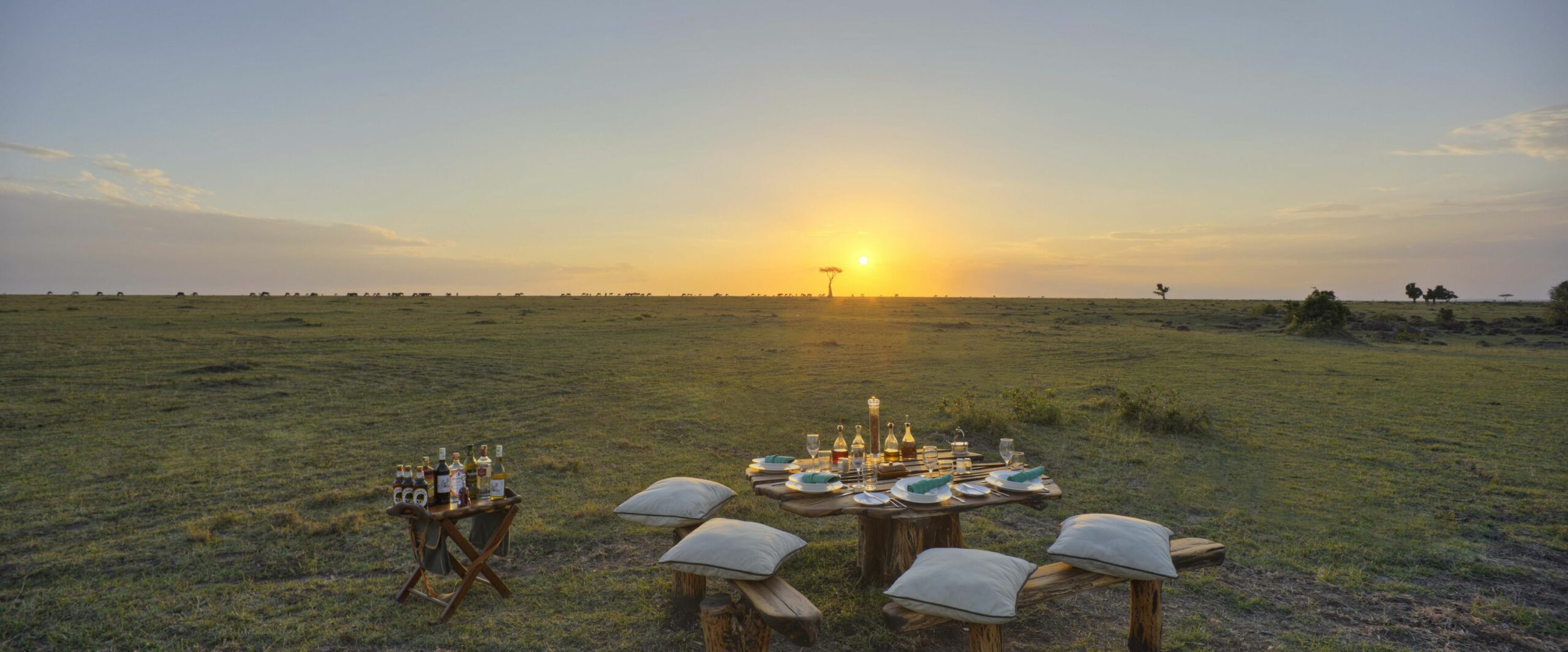 /wp-content/uploads/2022/07/saruni_wild_-_the_sunset_of_your_dreams1-scaled.jpg