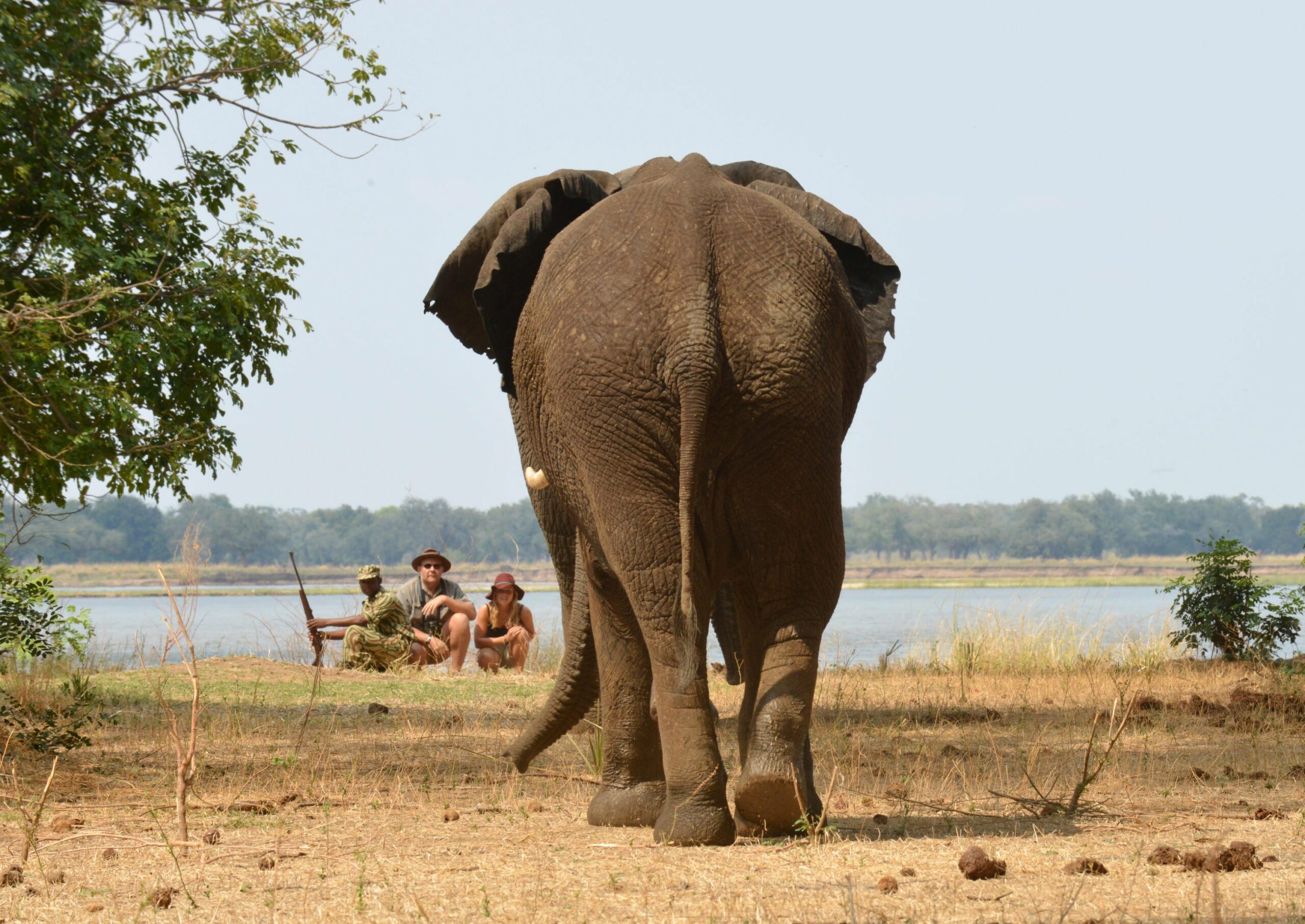 https://www.trackssafaris.co.uk/wp-content/uploads/2022/07/stc_walking_7-scaled.jpg