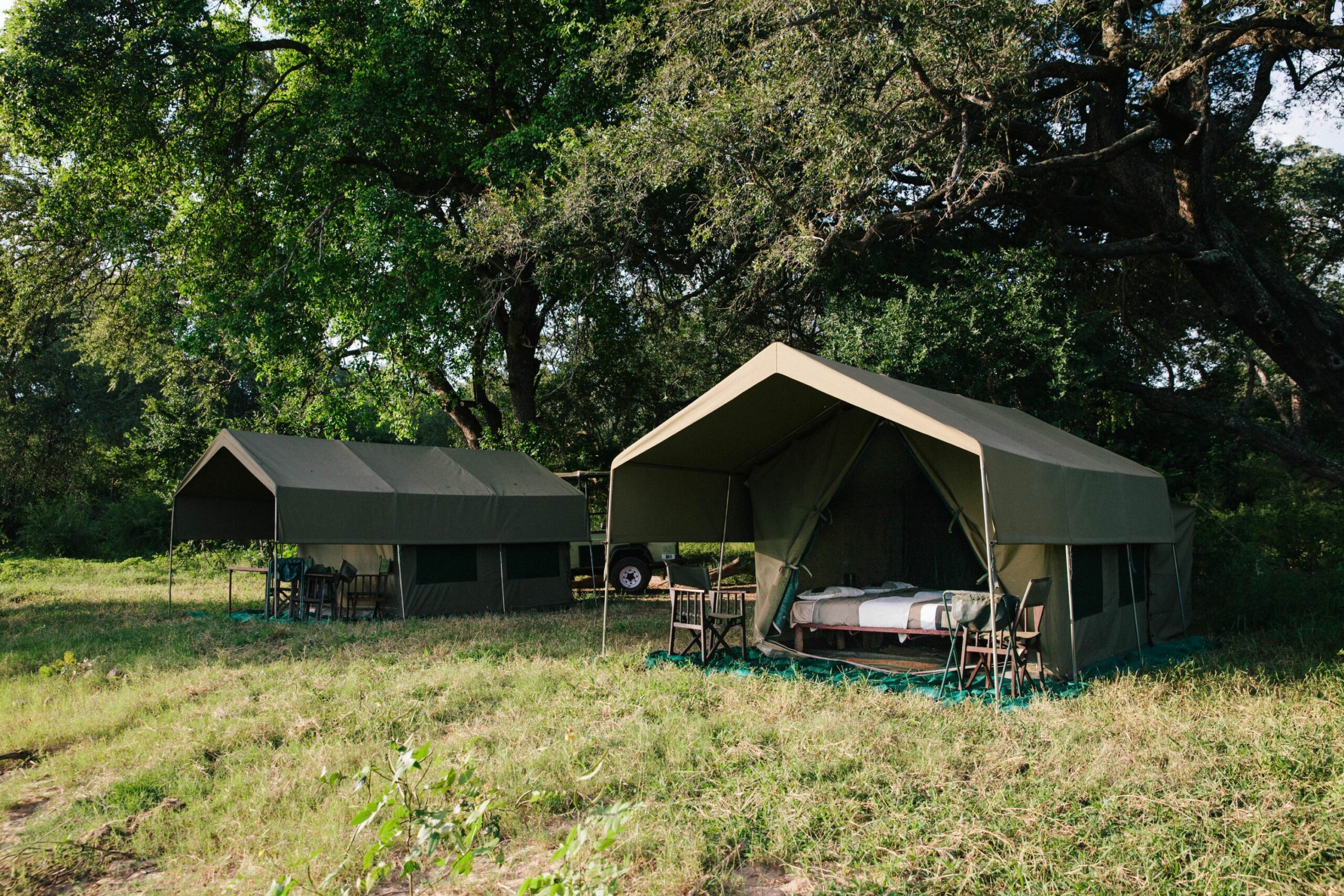 https://www.trackssafaris.co.uk/wp-content/uploads/2022/07/tented_camp_11-scaled.jpg