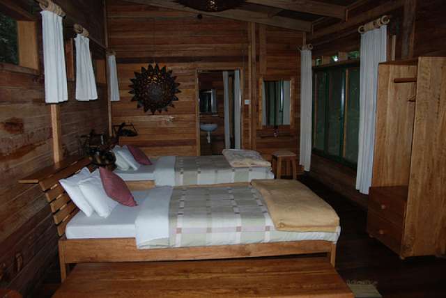 /wp-content/uploads/2022/07/the-rainforest-lodge-mabera-forest-np-1.jpg
