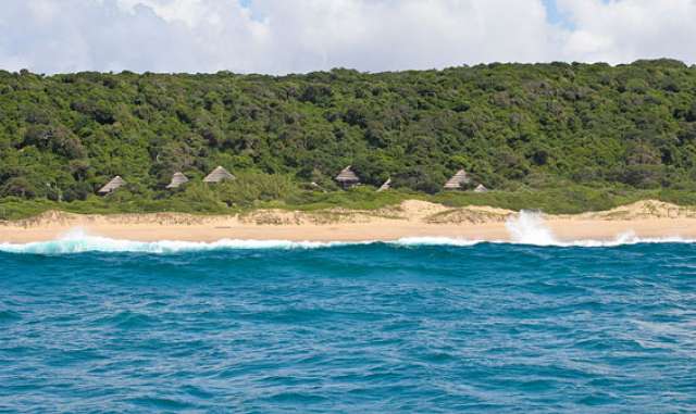 /wp-content/uploads/2022/07/thonga-beach-lodge-elephant-coast-11.jpg