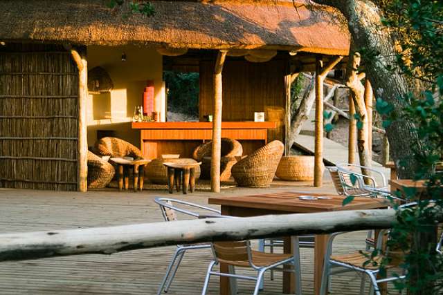 /wp-content/uploads/2022/07/thonga-beach-lodge-elephant-coast-6.jpg