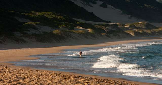 /wp-content/uploads/2022/07/thonga-beach-lodge-elephant-coast-7.jpg