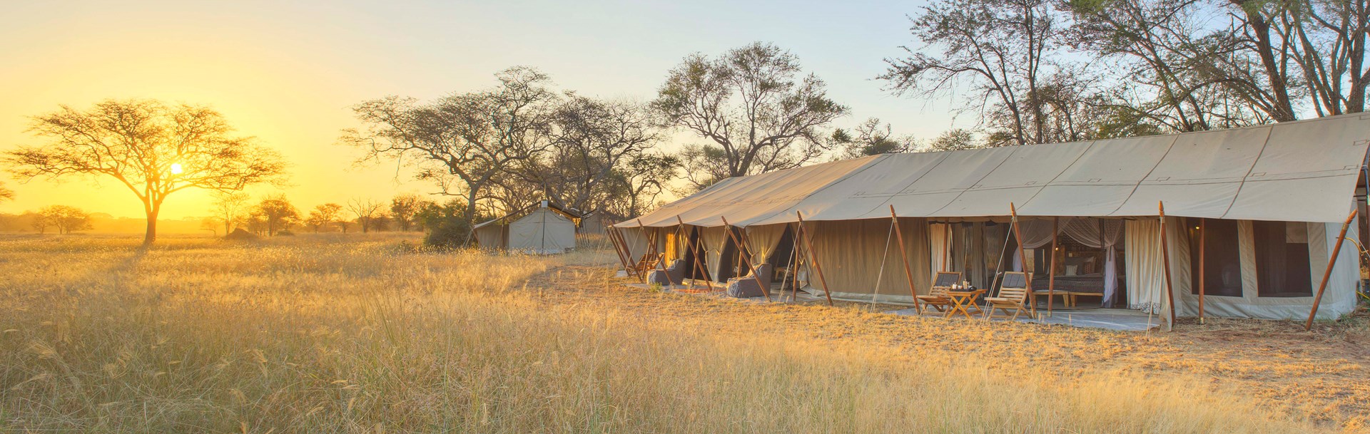 Ubuntu Migration Camp (Asilia Africa), Serengeti Tanzania - AfricanMecca  Safaris & Tours