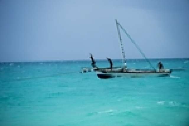 /wp-content/uploads/2022/07/vamizi-island-6.jpg