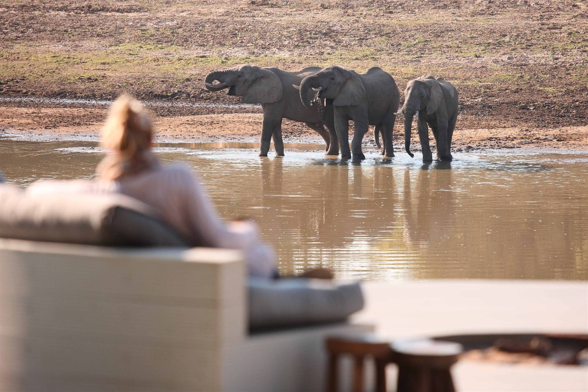 /wp-content/uploads/2022/09/032_Watching-Eles-Drink-From-The-Lounge_original1.jpeg