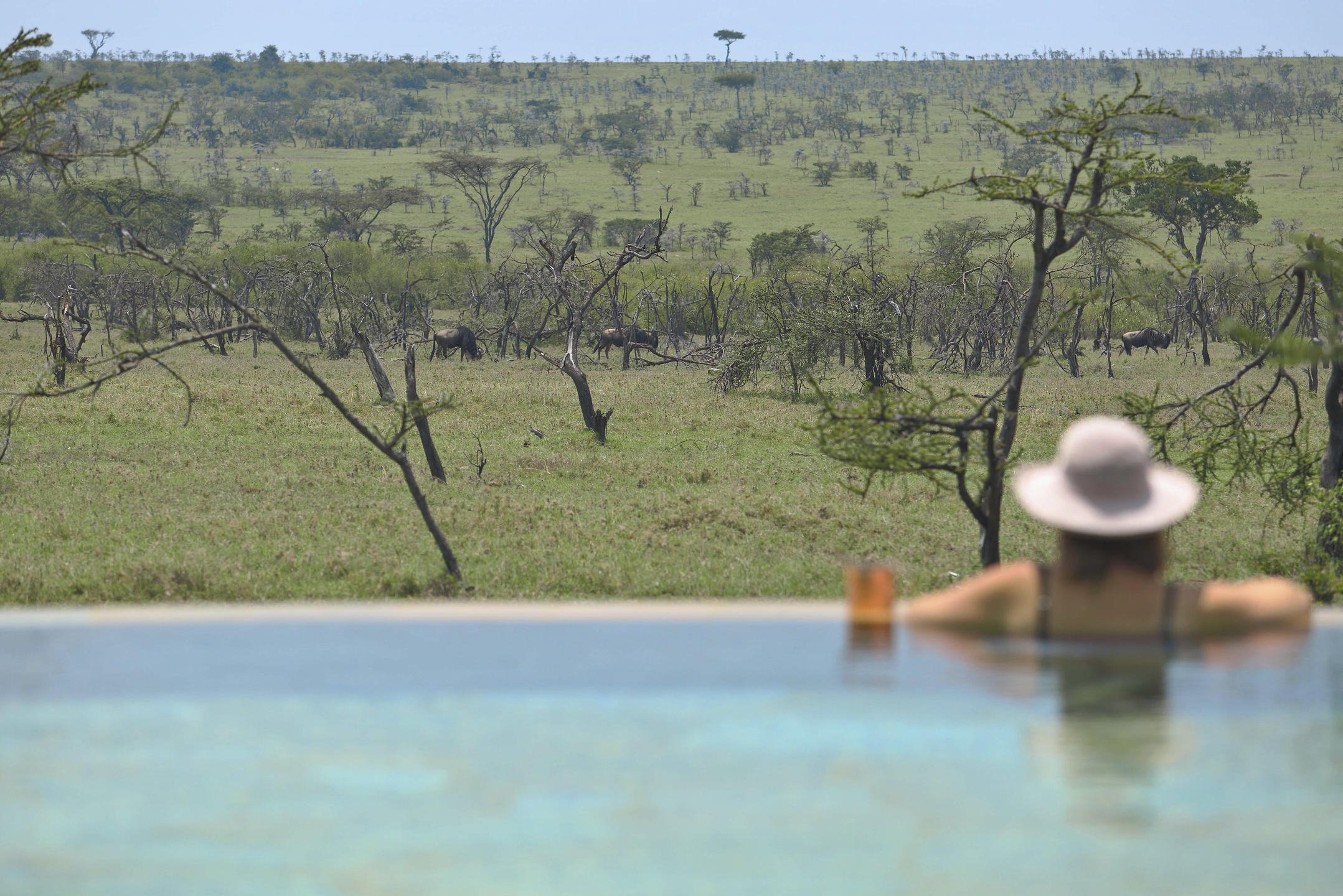Lodges and Camps in the Greater Mara with Swimming Pools