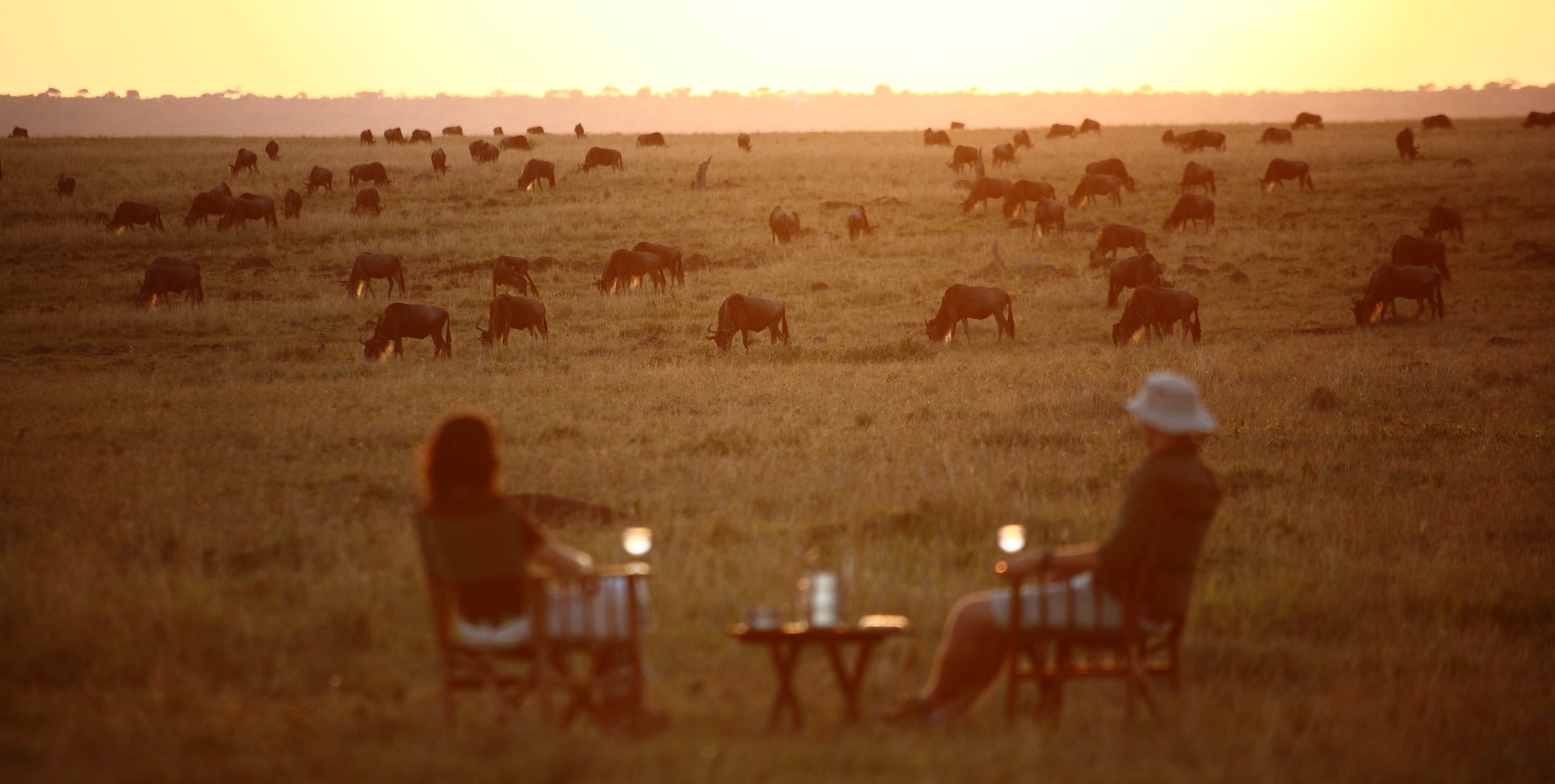 Elephant Pepper Camp - Mara - Mara North Conservancy - Masai Mara - Kenya