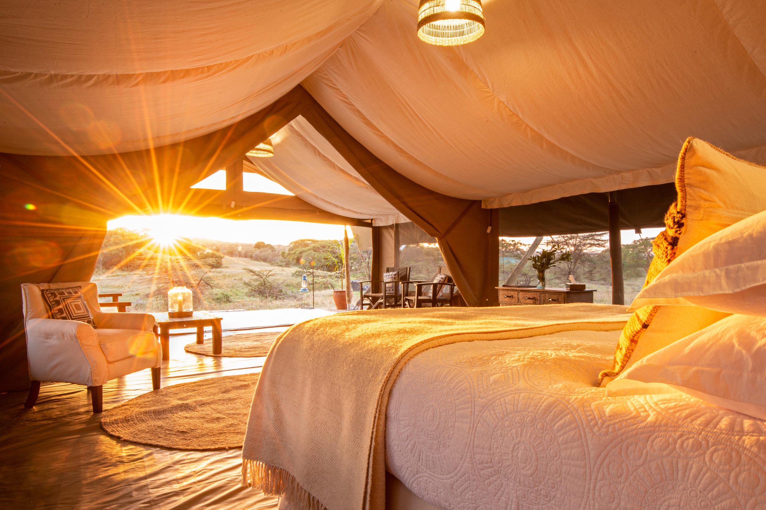 Offbeat Ndoto – Mara North Conservancy – Masai Mara